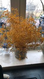 Bosje geel gipskruid, Ophalen of Verzenden, Zo goed als nieuw