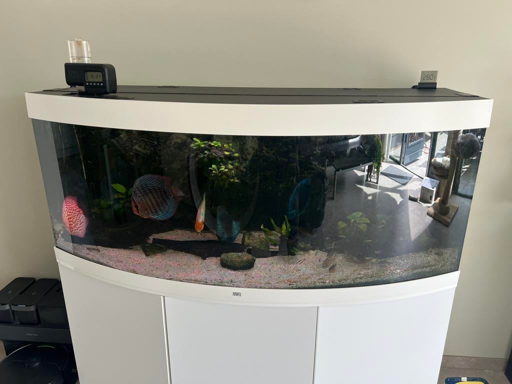 Juwel vision 450 wit, Dieren en Toebehoren, Ophalen of Verzenden, Zo goed als nieuw, Gevuld zoetwateraquarium