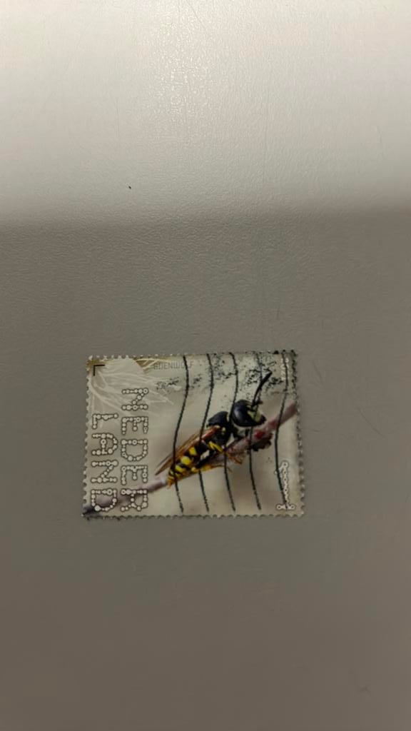 Nederland 2021 Bijenwolf, Verzenden, Gestempeld