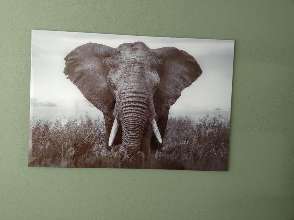 Olifant schilderij op glasplaat, Antiek en Kunst, Ophalen