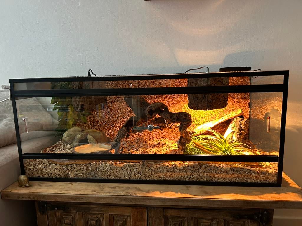 Terrarium 100-40-40 (slang hoeft niet weg), Dieren en Toebehoren, Reptielen en Amfibieën | Toebehoren, Ophalen of Verzenden, Zo goed als nieuw