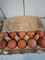 Welsumer broedeieren., Ophalen of Verzenden, Nieuw, Overige typen