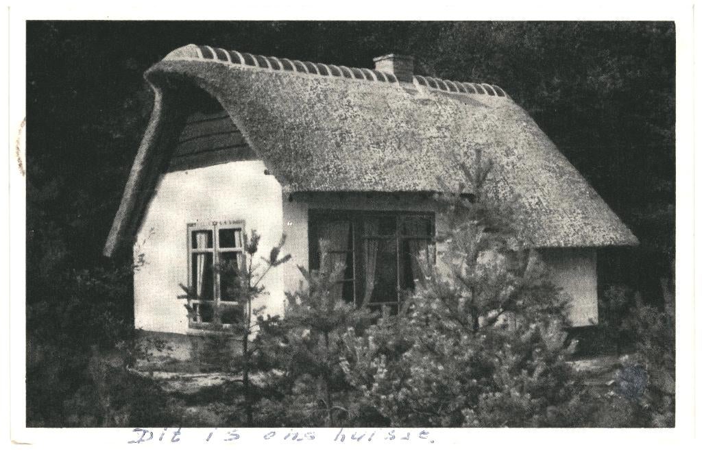 967223 Oosterhout N Br 1961 Bungalow Katjeskelder Gelopen, Ophalen of Verzenden, 1960 tot 1980, Gelopen, Noord-Brabant