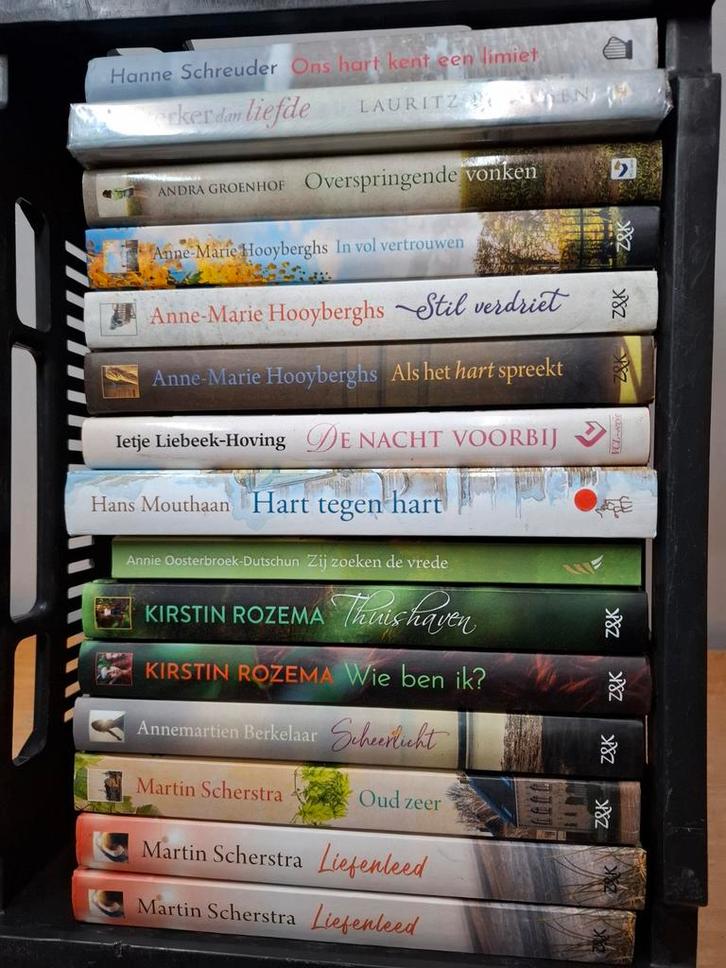 Div. Romansl - Diverse Auteurs en Titels, Boeken, Romans, Gelezen, Nederland, Ophalen of Verzenden