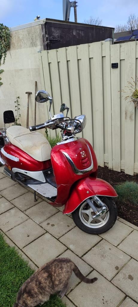 AGM V641 Scooter - Rood, Comfortabel en Betrouwbaar, Ophalen, Gebruikt, AMG