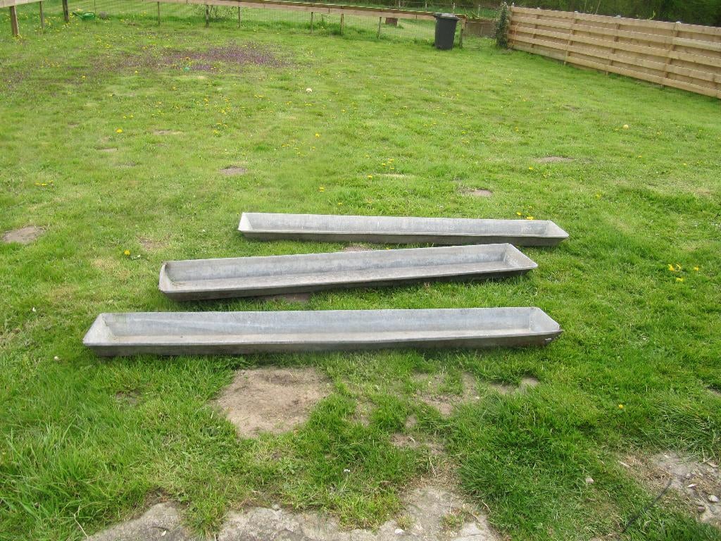 Verzonken voederbakken, Meerdere dieren, Schaap