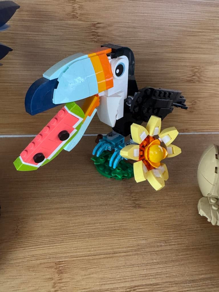 Lego Creator 31173 toekan met drie boekjes, Lego, Ophalen of Verzenden, Zo goed als nieuw, Inclusief instructies