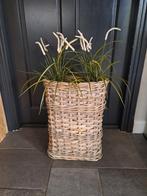 Rieten paraplumanden naturel, Ophalen, Riet