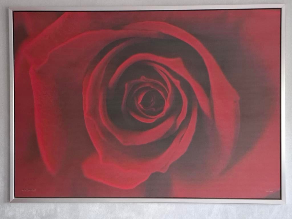 IKEA Schilderij Rode Roos met Lijst - Groot Formaat, Huis en Inrichting, Woonaccessoires | Schilderijen, Tekeningen en Foto's