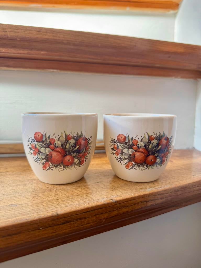 2x Mok apple rosehip | Jet ter steege, Huis en Inrichting, Keuken | Servies, Ophalen of Verzenden, Zo goed als nieuw, Overige stijlen