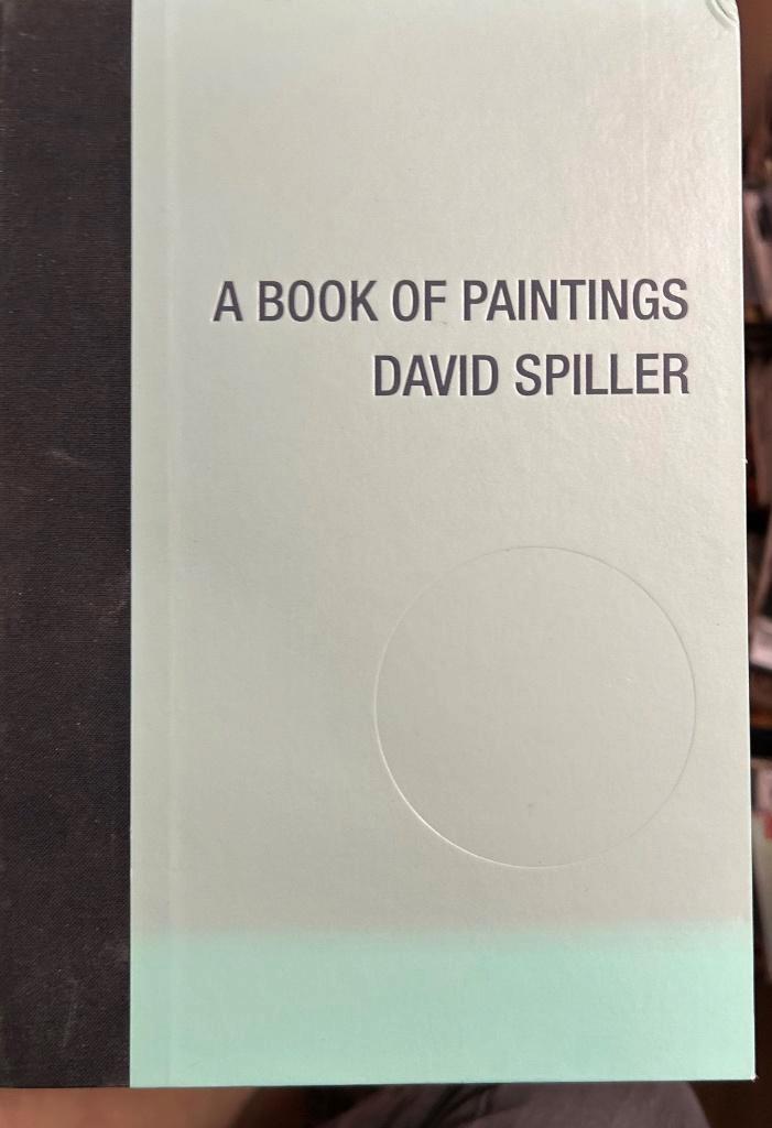 A book of paintings - David Spiller, Boeken, Kunst en Cultuur | Beeldend, Zo goed als nieuw, Ophalen of Verzenden