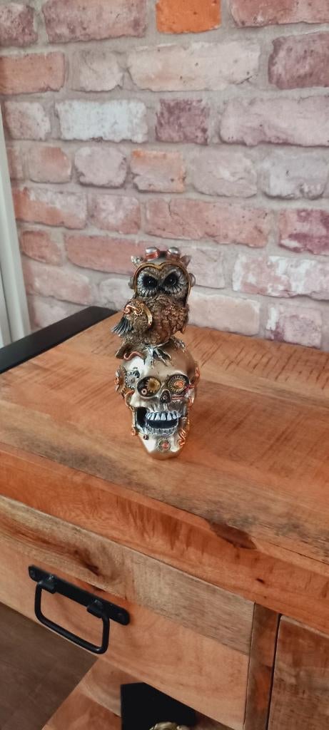 Steampunk:Skull met een Uil Beeld♥️SALE VERKOOP♥️, Ophalen of Verzenden, Nieuw, Dier