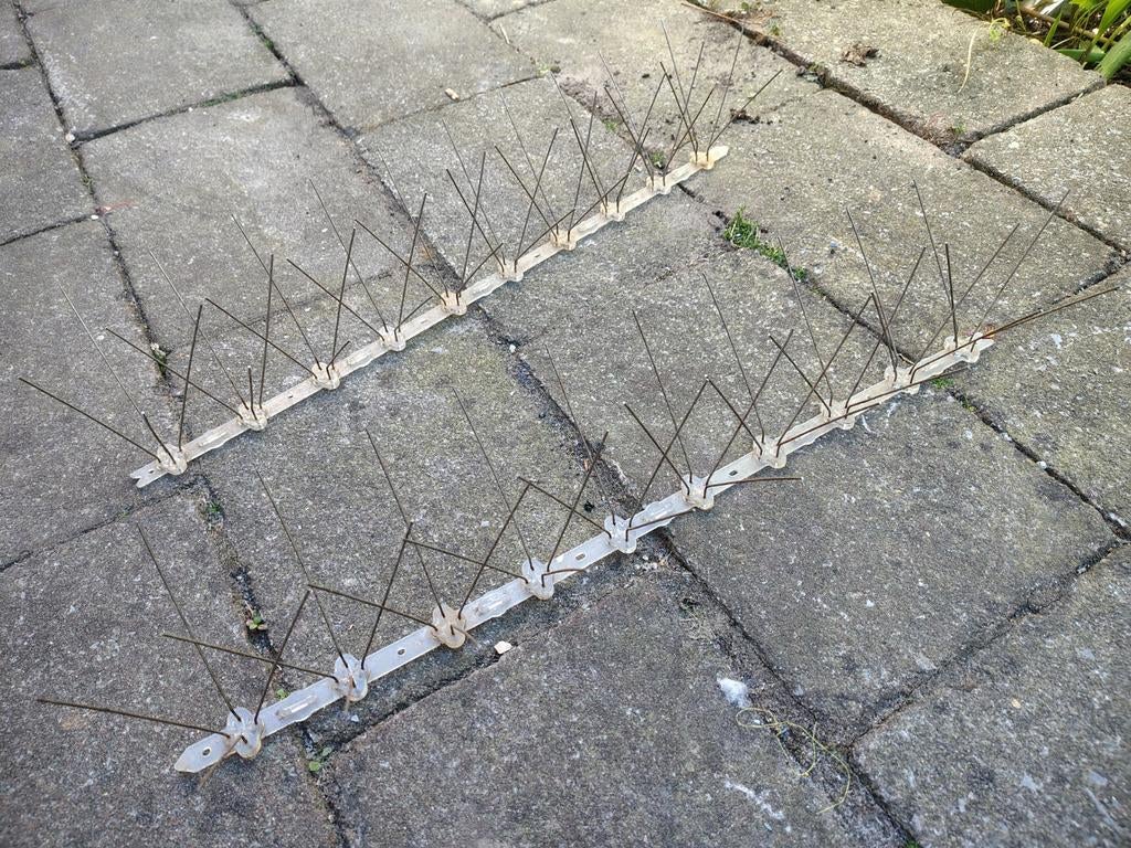Vogelpinnen / Vogelwering tegen vogels, Ophalen