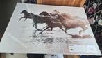 IKEA PJÄTTERYD Schilderij met paarden, 100x70 cm (nieuw), Ophalen