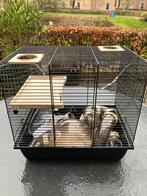 Hamsterkooi van interzoo, Minder dan 60 cm, Kooi, Minder dan 75 cm, Ophalen of Verzenden