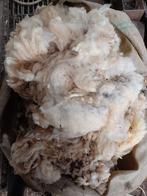 Schapenwol 2.50 per vacht, Ophalen, Nieuw