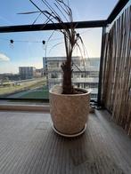 Grote decoratieve buitenpot voor planten, Ophalen, Overige materialen, Gebruikt, Balkon