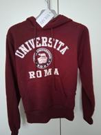 Nieuwe hoody van universita roma maat xs, Volare, Nieuw, Ophalen of Verzenden, Rood