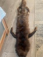 Retro Vossenbont Stola, Ophalen of Verzenden, Zo goed als nieuw, Maat 46/48 (XL) of groter, Sjaal