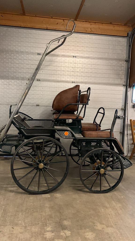 Enkelspan marathon recreatie menwagen, Dieren en Toebehoren, Rijtuigen en Koetsen, Gebruikt, Marathonwagen, Paard