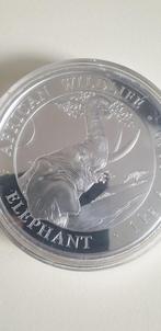 1 Kilo Somalische Olifant Zilveren Munt 2023, Ophalen, Losse munt, Zilver