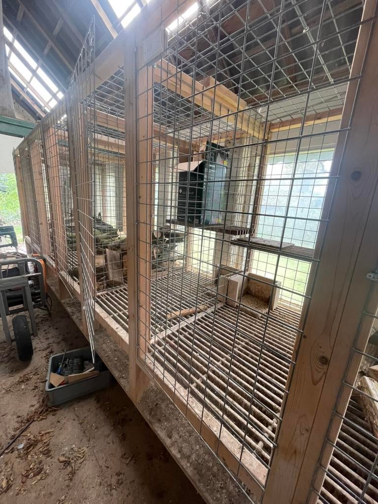 Duivenhokken, Meerdere dieren, Overige soorten