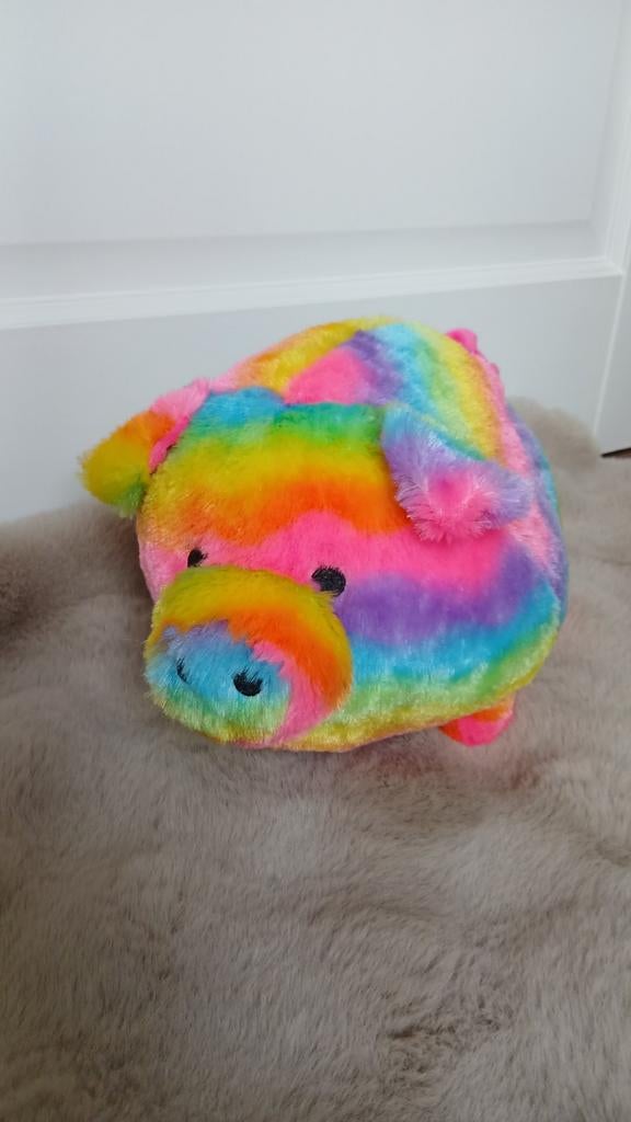 Superleuke regenboog knuffel - varken Funky Family piggy, Ophalen of Verzenden, Zo goed als nieuw, Meerkleurig, Overige typen