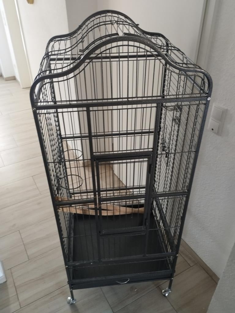 Vogel kooi en of  voor kleine papagaaien, Mannelijk, Papegaai