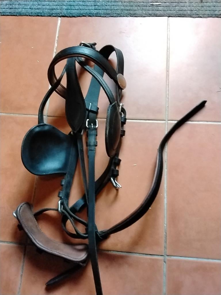 Tuog hoofdstel, Dieren en Toebehoren, Verzenden, Zo goed als nieuw, Overige soorten