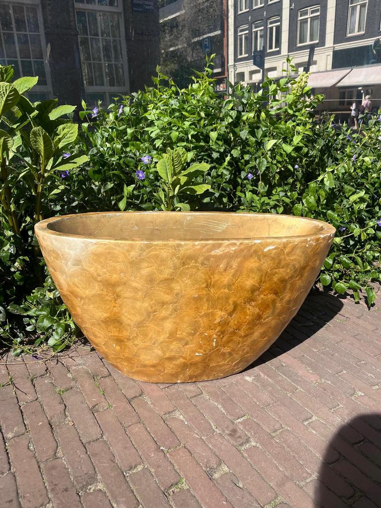 Grote luxe Capiz bloempot:  eyecatcher! Bied vanaf €70, Overige materialen, Gebruikt, Ophalen of Verzenden, 60 cm of meer