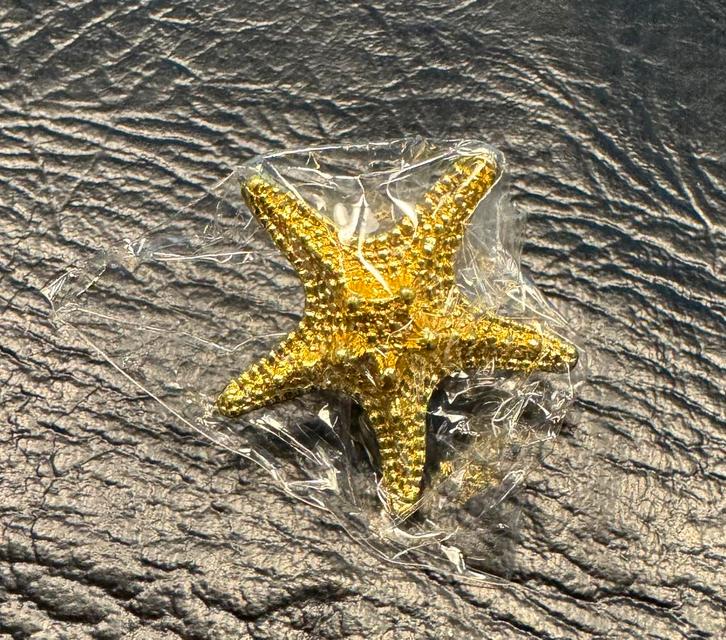 Nieuw gouden Zeester knop voor la of deurtje handgreep 5 cm, Doe-het-zelf en Verbouw, Hang- en Sluitwerk, Nieuw, Klink of Kruk