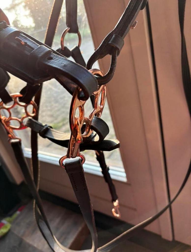 Rosie Hackamore bitloos hoofdstel, maat Full, Ophalen of Verzenden, Zo goed als nieuw, Recreatie