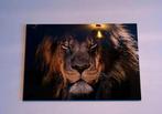 Schilderij leeuw op plexiglas, Ophalen of Verzenden
