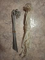 Nieuwe Strandtent, Ophalen of Verzenden, Nieuw