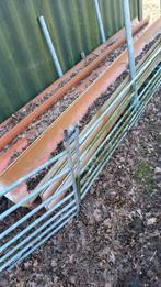 Voergoot / teelgoot oranje 315 mm, Dieren en Toebehoren, Ophalen, Zo goed als nieuw