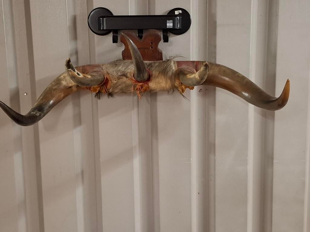 Bull Horn kapstok, Ophalen of Verzenden