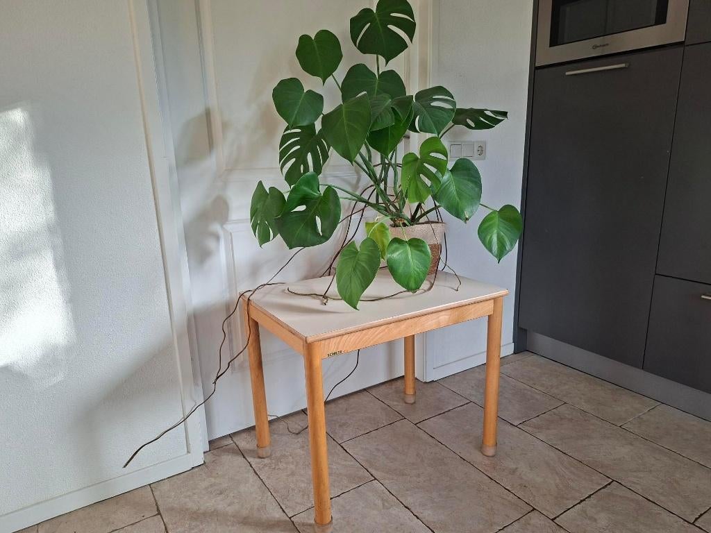 Leuke Schilte kindertafel, schooltafel, knutseltafel!, Ophalen, Gebruikt, Tafel(s)