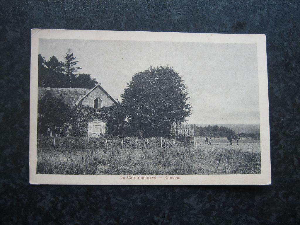 ELLECOM De Carolinehoeve, Ophalen of Verzenden, 1920 tot 1940, Gelderland