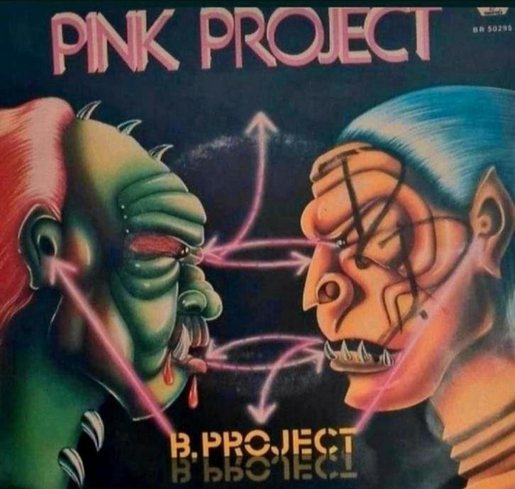 PINK PROJECT  - B. PROJECT, Cd's en Dvd's, Ophalen of Verzenden, Gebruikt