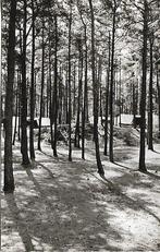 Hulshorst- -C.J.V. Kamp., Verzenden, 1960 tot 1980, Gelopen, Gelderland