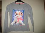 Grijs shirt, 146, SOHO, Kinderen en Baby's, Kinderkleding | Maat 146, Ophalen of Verzenden, Zo goed als nieuw, Meisje, Shirt of Longsleeve