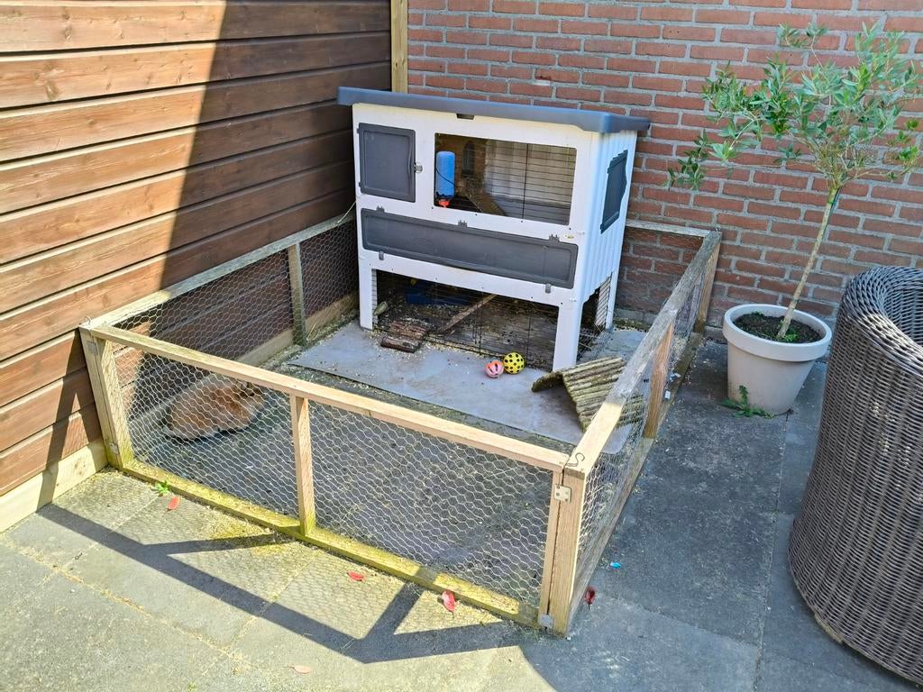 Dwerg konijntjes, Dieren en Toebehoren, Ophalen, Hok