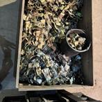 Bouwhek klemen, Doe-het-zelf en Verbouw, Ophalen of Verzenden