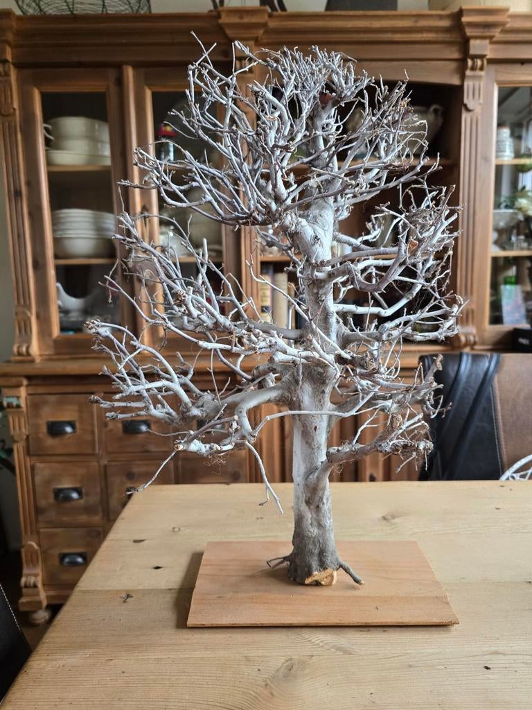 Decoratieve boomstronk sculptuur - geen kunst, Huis en Inrichting, Woonaccessoires | Overige, Gebruikt, Hout, Bruin, Landelijk