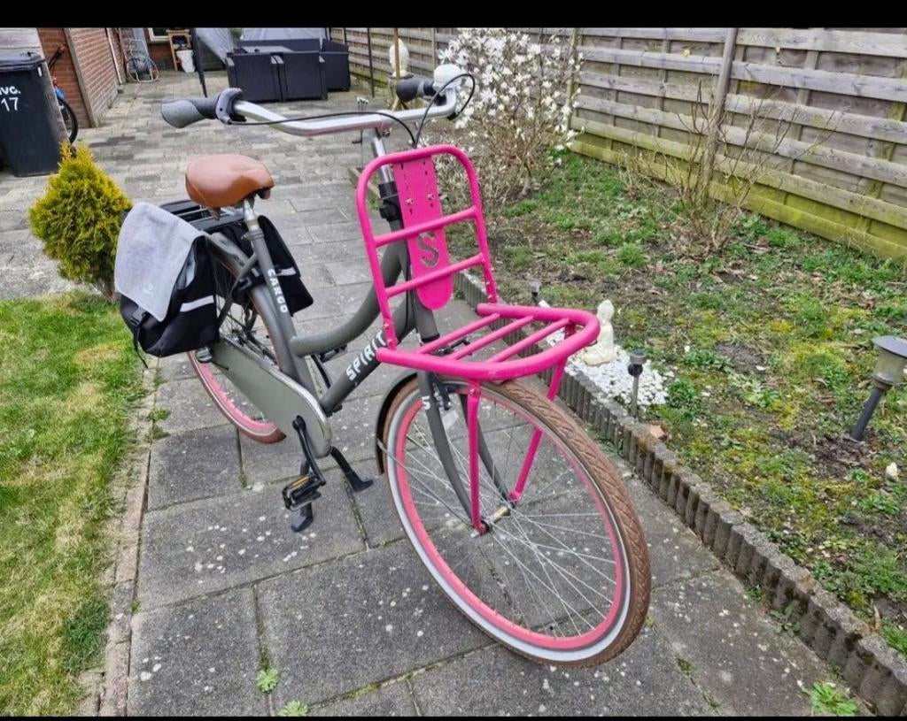 Spirit Cargo fiets met voordrager en fietstassen, Ophalen