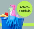 Gezocht poetshulp, 2 u/w;   Poszukiwana: pomoc przy sprzątan, Overige niveaus, Overige vormen
