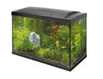 SuperFish aquarium 60L starterset met veel extra's, Ophalen, Zo goed als nieuw, Leeg aquarium