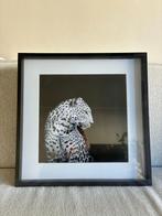 Nieuwe 3 stuks fotolijst 40x40 cm, Ophalen of Verzenden, Nieuw