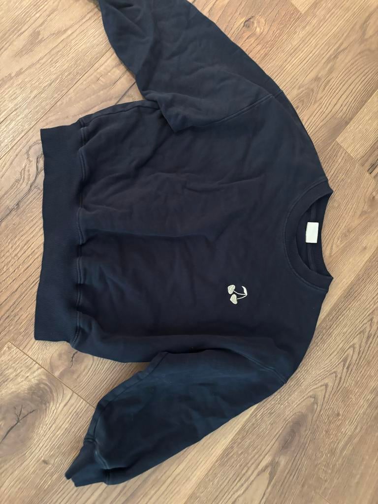 Sweater sofie schnoor, Ophalen of Verzenden, Gebruikt, Meisje, Trui of Vest