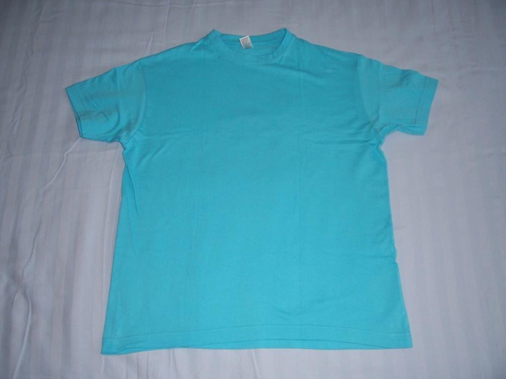 Mooi blauw shirt maat 164 met hondje, Kinderen en Baby's, Kinderkleding | Maat 164, Ophalen of Verzenden, Zo goed als nieuw, Jongen of Meisje